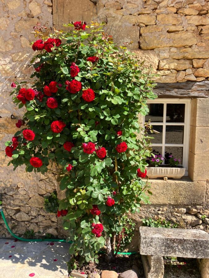 Villa La Tuilerie Grange (Adults Only) Le Bugue Exterior foto
